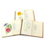 F Edward Helm. Familiar Garden Flowers, three vols, cloth, published by Cassell & Company Limited,