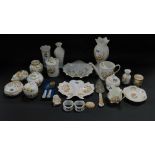 A group of Aynsley porcelain decorated in the Cottage Garden pattern, including vases, preserve
