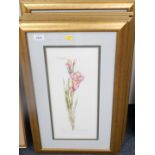 After Alison Rose. A pair of signed limited edition prints of floral studies., After Barba Tate.,