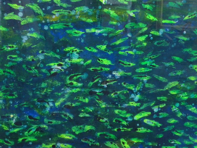 *Ian Jones (British). Fishes, 1992, monoprint, 80cm x 108cm.Provenance: Louise Pickering Fine Art.