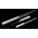 Various fruit and pen knives, a mother of pearl handled folding button hook, (when open) 9cm high,