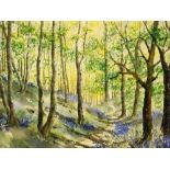 Barbara Fraser (20thC). Woodland scene, watercolour, signed, 19.5cm x 29cm.