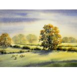 Barbara Fraser (20thC). Sheep in a landscape with tree and clouds gathering, watercolour, signed,