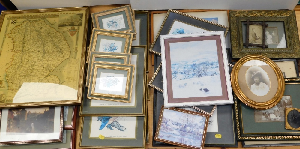 Various prints, pictures, frames, reproduction map, sets of botanic print, various others, etc. (a