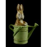 A Beswick Beatrix Potter figure, Peter in the Watering Can, boxed.