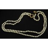 A two row cultured pearl necklace, one row with 70 pearls 5.5mm x 4.7mm, the other with 73 pearls 5.