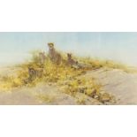 David Shepherd (1931-2017). The Cheetahs of Namibia, artist signed limited edition coloured print 1