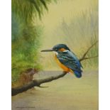 •John Lewis Fitzgerald (b.1945). Study of a Kingfisher perched on a branch above a river, watercolou