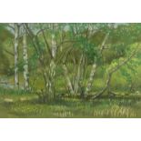 Janet Minty (20thC). Woodland scene, pastel, signed and dated June (19)95, 24.5cm x 35.5cm.