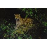 David Shepherd (1931-2017). Jaguar, artist signed limited edition coloured print, 237/850, 47cm x 7
