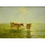 Willem Maris (1844-1910). Two short horned cows in wetlands, oil on panel, signed, 49cm x 69cm.