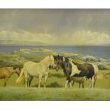 •R.P. Reynolds (20thC). Horses in coastal landscape, oil on canvas, signed and dated 1971, 75cm x 90