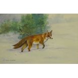 •John Lewis Fitzgerald (b.1945). Study of a Fox in the snow, watercolour with body colour, signed, 2