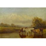 William Vivian Tippett (1833-1910). Cattle at waters edge. oil on canvas, signed, 35.5cm x 53.5cm