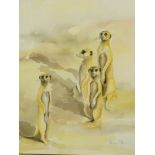 Tash Hofer (20thC). Meerkats, watercolour, signed, 66cm x 52cm.