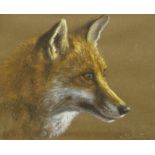 20thC British School. Story of a fox, pastel, signed and dated (19)89, 25cm x 32.5cm.