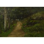 20thC British School. Woodland path, oil on canvas, 31cm x 45cm.