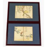 Two Japanese woodblock prints from a book, depicting birds on branches, 20cm x 16cm, both signed, 19