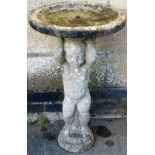 A late 20thC classical style bird bath, with circular top raised on cherub stem terminating in step