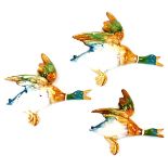 A set of three Beswick graduated duck wall plaques, 596-1, 26cm high, etc. (3)