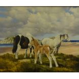•R.P. Reynolds (20thC). Horses and foal, oil on canvas, signed and dated 1973, 75cm x 90.5cm.