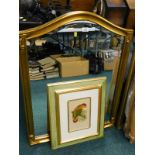 A gilt wall mirror, with arched frame and a print of a purple capped lory parrot in modern gilt