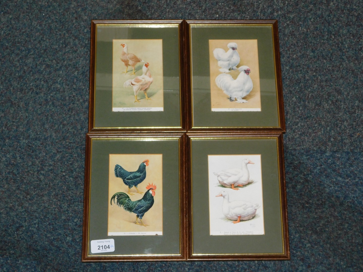 Four framed and mounted French postcards of chickens, ducks, etc.