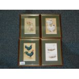 Four framed and mounted French postcards of chickens, ducks, etc.