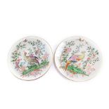 A pair of Royal Worcester porcelain plates decorated with Fabulous Birds, The Collectors Series,