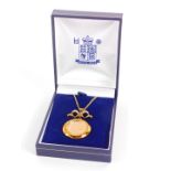 A Queen Elizabeth II gold half sovereign 2002, in a 9ct gold circular and bow surmounted pendant