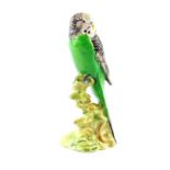 A Beswick figure of a green budgie, no 1216, impressed marks.