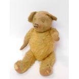 An early 20thC straw filled golden mohair Teddy Bear, 52cm high. (AF)