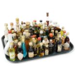 Various alcohol miniatures, to include Jose Cuervo 12cm high, Esplendido brandy, etc. (a quantity)