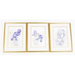 Barbara Fraser (fl. 1995). A trio of iris's, watercolours, signed, framed, 30cm x 20cm.