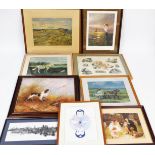 A large quantity of framed pictures and prints, to include a Steven Adely coloured pencil sketch,