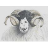 Barbara Fraser (fl. 1995). Rough Fell Tup, pastel signed and titled, framed, 21cm x 29cm.