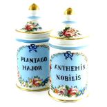 A pair of French porcelain drug jars, each decorated with flowers and title Enthemis Nobilis and