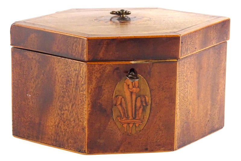 A George III mahogany and boxwood strung tea caddy, of elongated hexagonal form, the hinged lid with