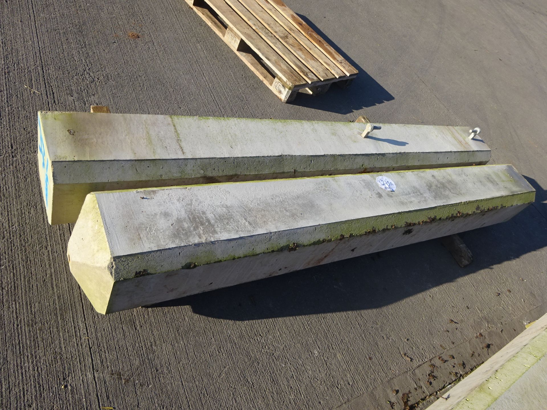 CONCRETE GATE POSTS