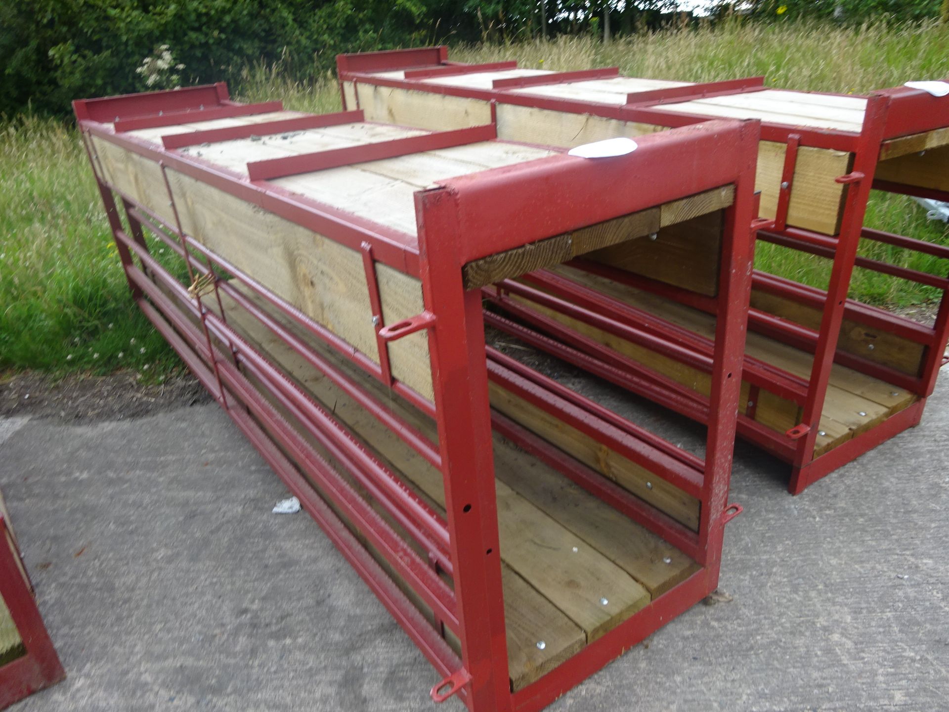 PAIR OF PAINTED SHEEP WALK THROUGH FEED