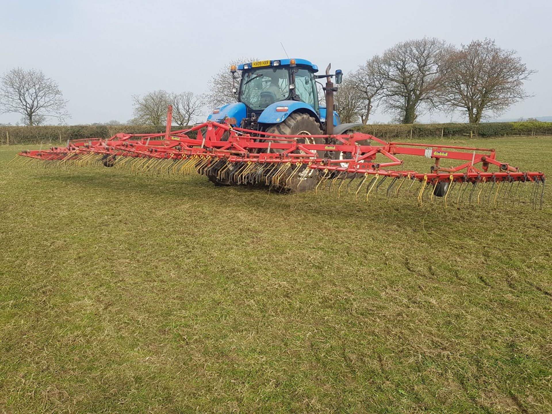 12M EINBOCK HYD FOLDING GRASS HARROWS - Image 3 of 5