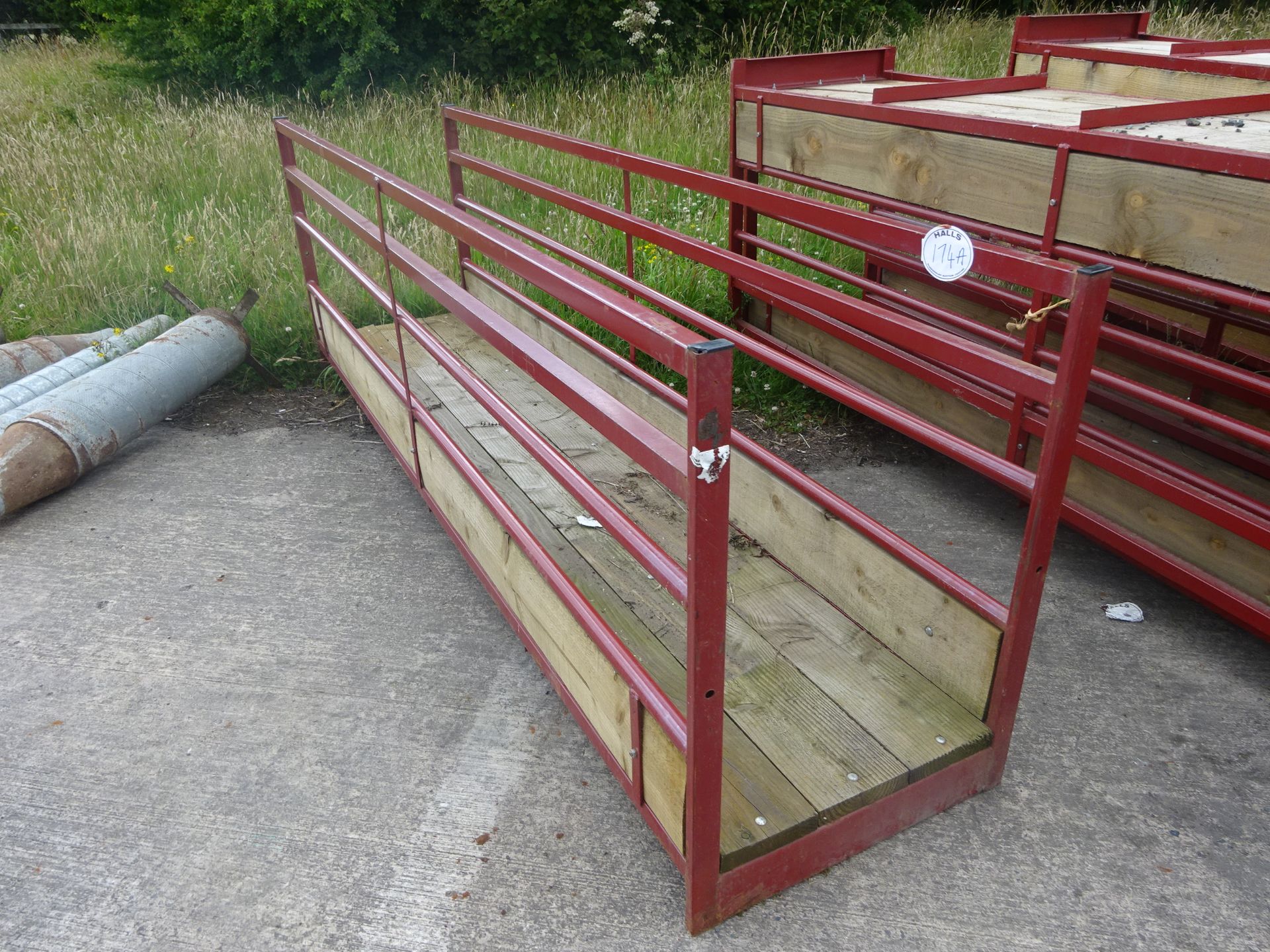 PAIR OF PAINTED SHEEP WALK THROUGH FEED