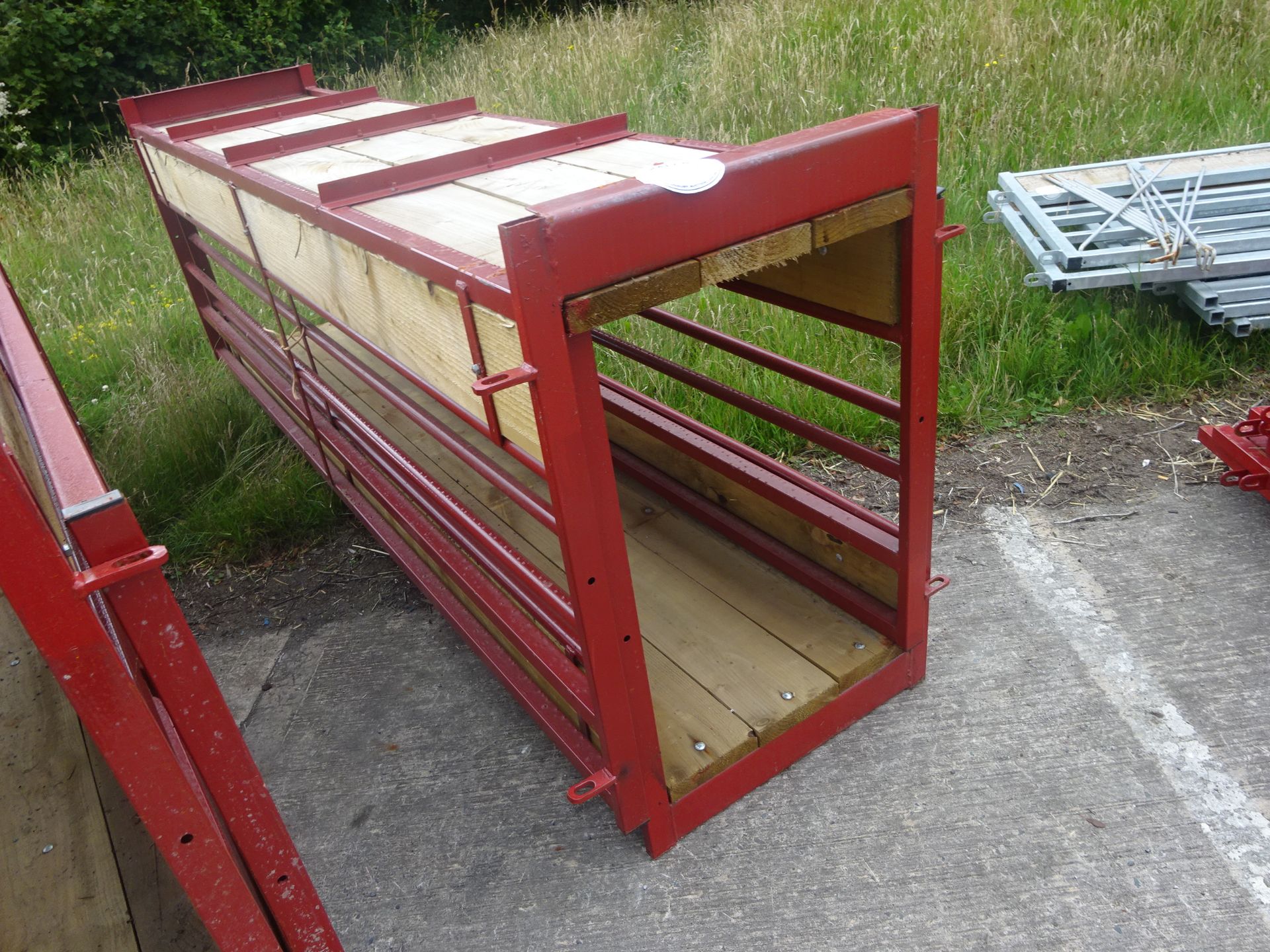 PAIR OF PAINTED SHEEP WALK THROUGH FEED