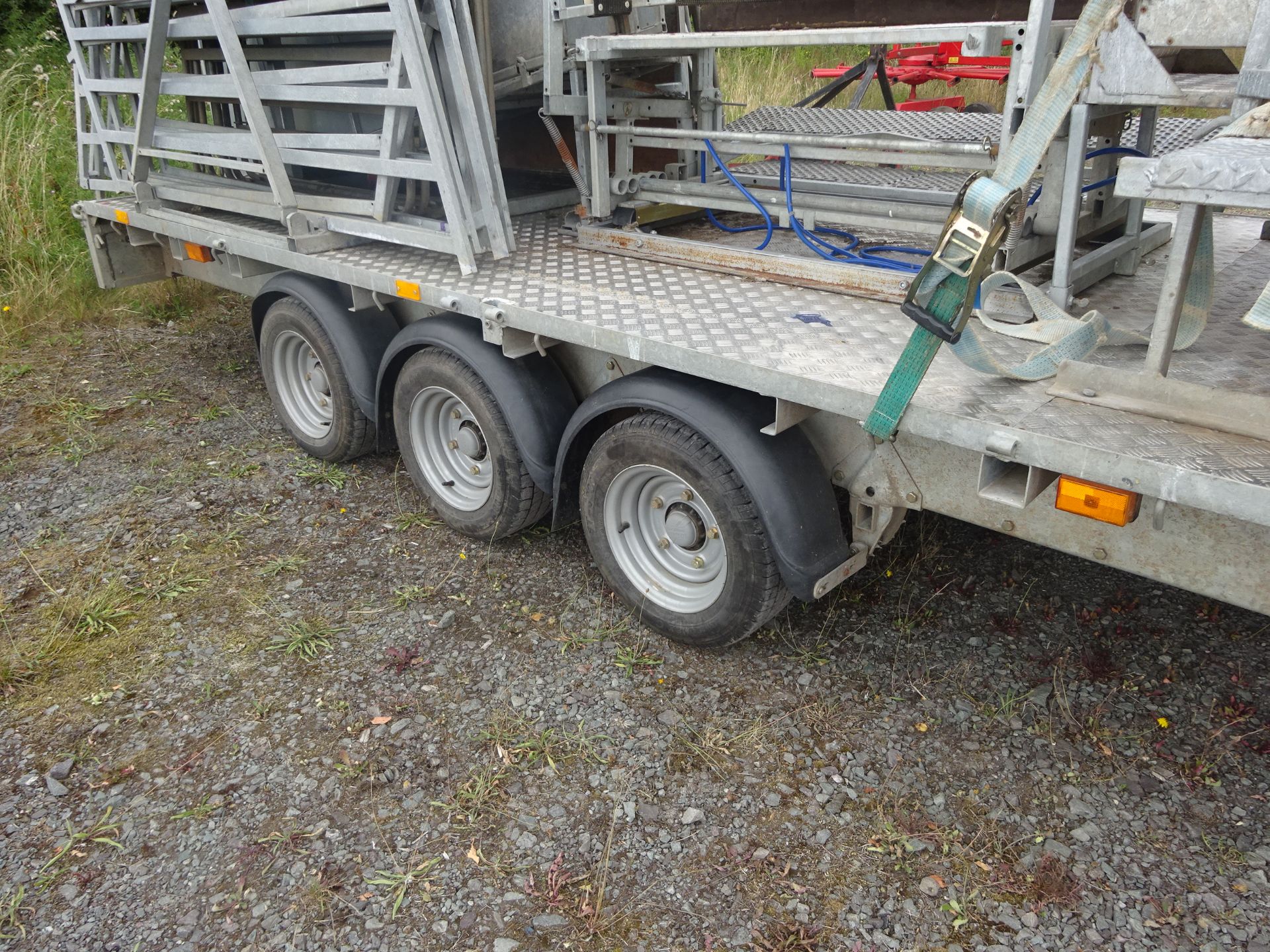 COMBI PLAN SHEEP HANDLING SYSTEM MOUNTED ON AN IFOR WILLIAMS TRAILER - Image 6 of 8