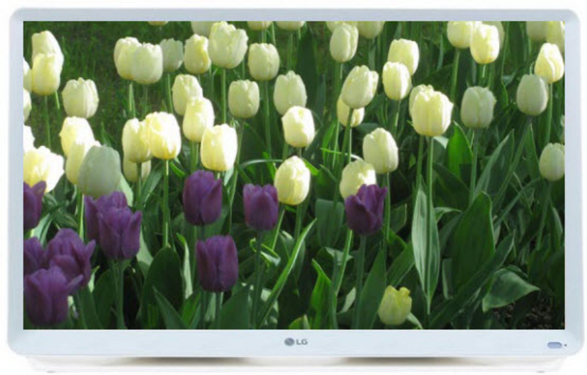 + VAT Grade A LG 27 Inch FULL HD LED TV - FREEVIEW HD - WHITE 27TK600V-WZ