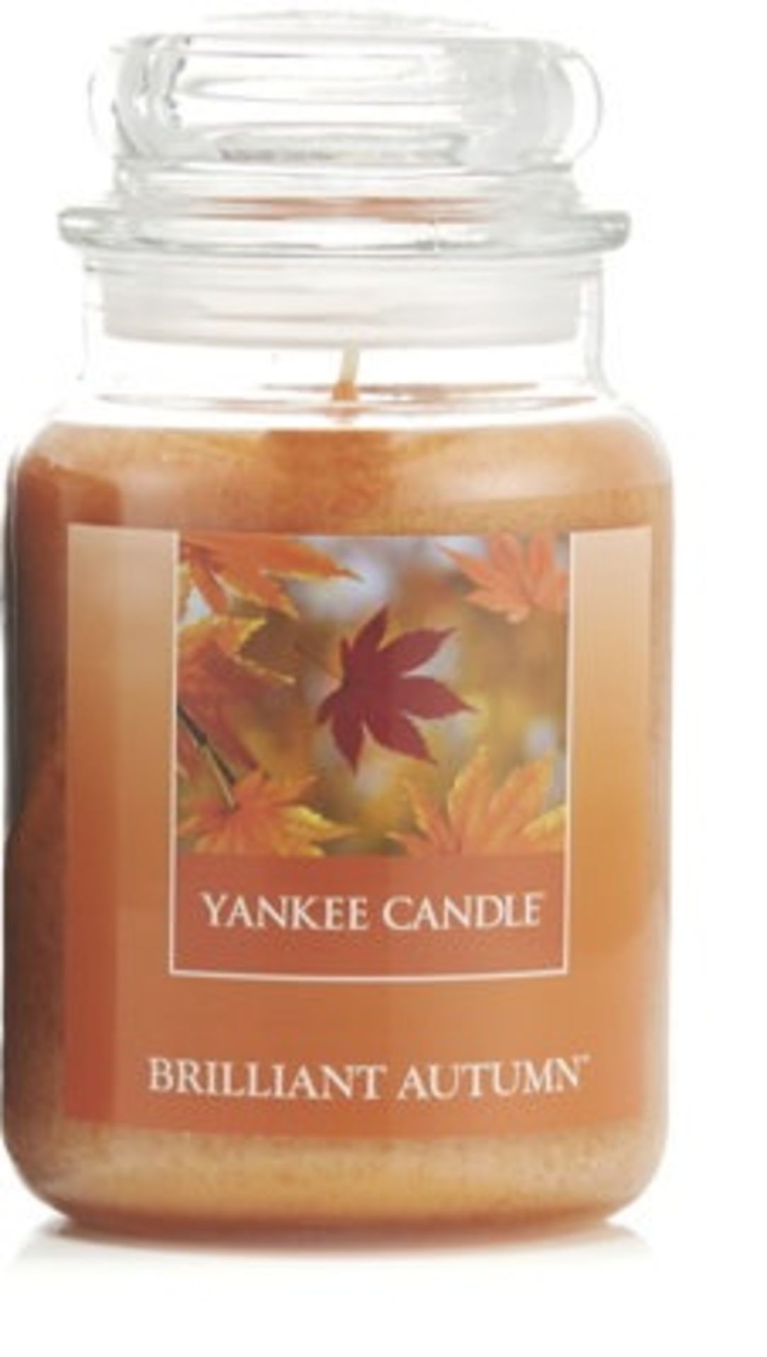 + VAT Brand New Large Yankee Candle (623g) Brilliant Autumn