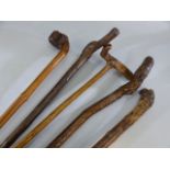 Five rustic walking sticks