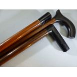 Three walking canes with Ebony handles