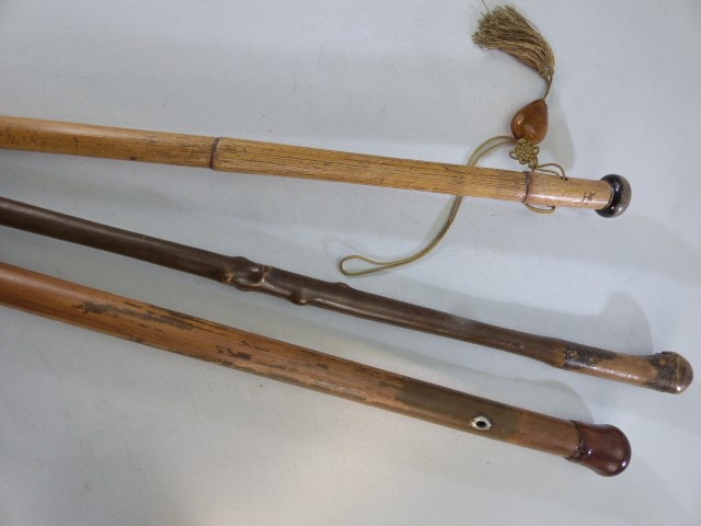 Three rustic wooden walking sticks one with Amber style tassel - Image 3 of 3