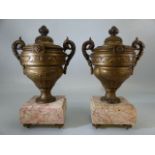 Pair of decorative French urns on marble plinths